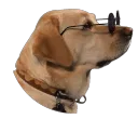 Toocool