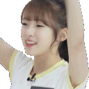 :yayareverse: