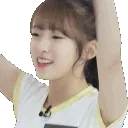 YayaReverse