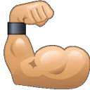 muscle
