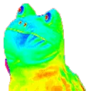froggo