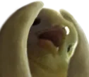 birbwtf