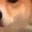 doge_10 doge_10