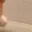 doge_11 doge_11