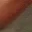 doge_12