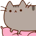 pusheen_knead