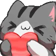 kitten