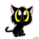 blackcat2 blackcat2