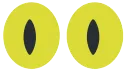 eyesGlance_cat