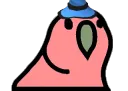 witchpartyparrot