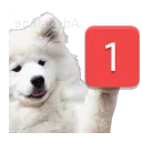 pingboye