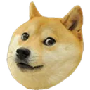 ConcernDoge