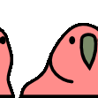 conga_t