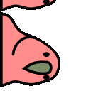 conga_r