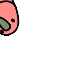conga_br