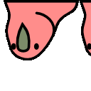 conga_b