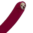 dogworm