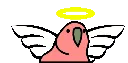 angelparrot