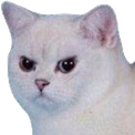 moon_meh Discord emoji