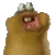 chompy