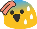 bolbsweat