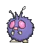 48 48