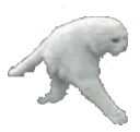 frogwalk Discord Emoji