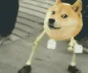 dogedance