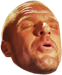 397103263536644117.png?v=1