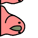conga_r