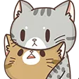 kiwaplKatze kiwaplKatze