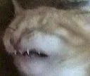 eugh