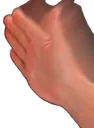 Hand