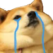 FeelsFetDogeMan