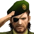 salute