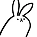 bunnystare