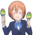 arinmaracas