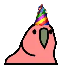 birthdaypartyparrot birthdaypartyparrot