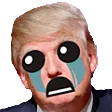 GWjustinTrumpCry GWjustinTrumpCry