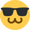 SunglassesDerp