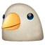birb