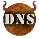 dnshell