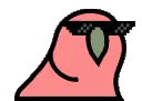 parrotcool