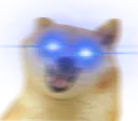 hyperdoge hyperdoge