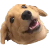 Wowee