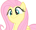 flutternice