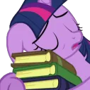 twibookzzz twibookzzz
