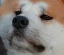 heck