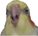 suspecc