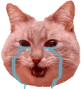 sobb